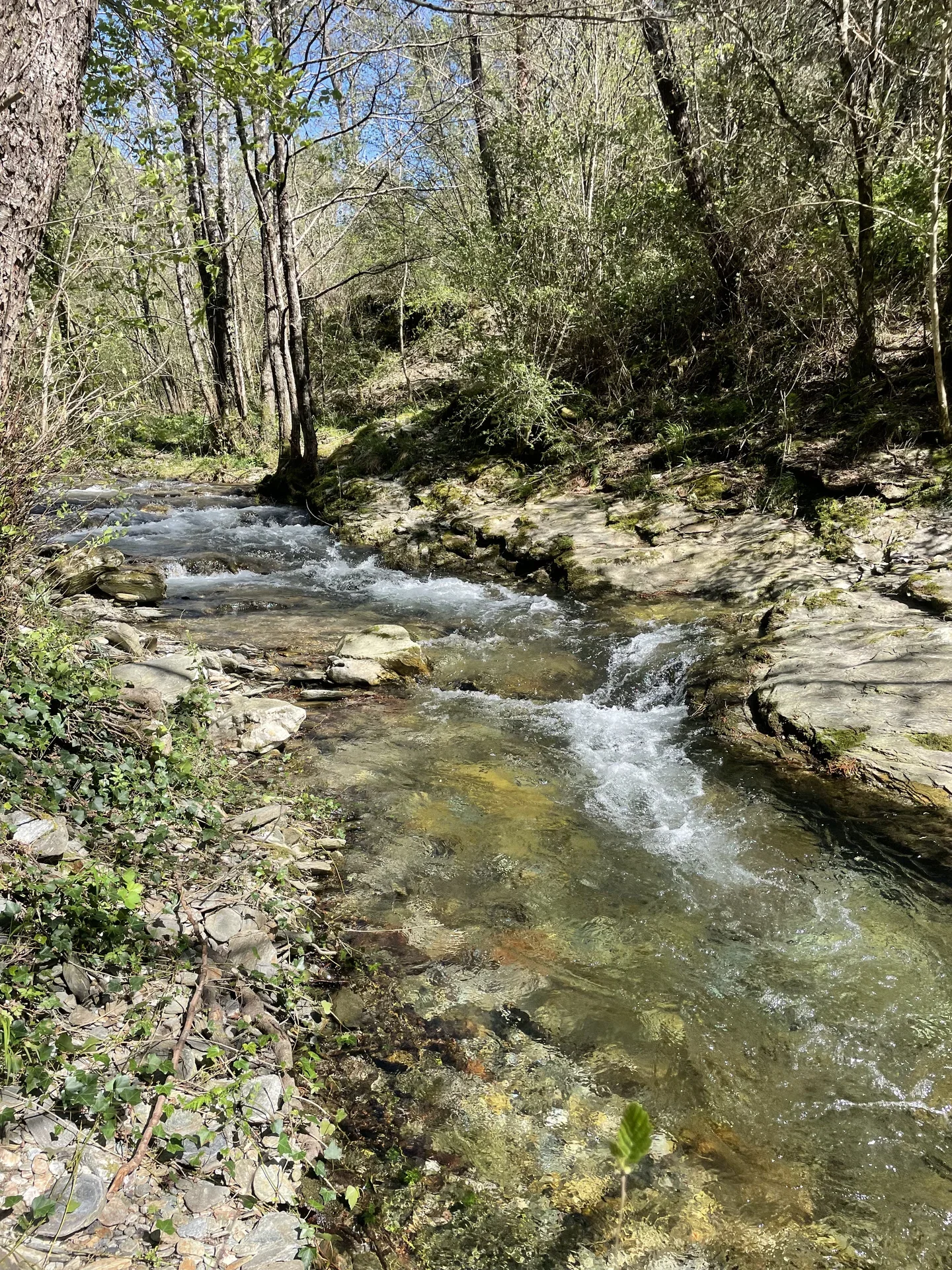 Ruisseau le Merlet près du gîte du Pont de Burgen